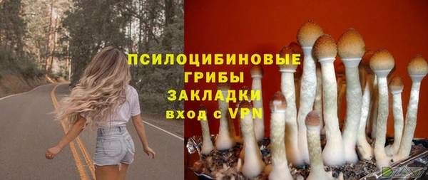 спайс Абаза