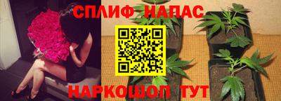 jwh Пугачёв
