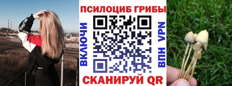 купить  цена  нарко площадка состав  Псилоцибиновые грибы Psilocybine cubensis  Сочи 