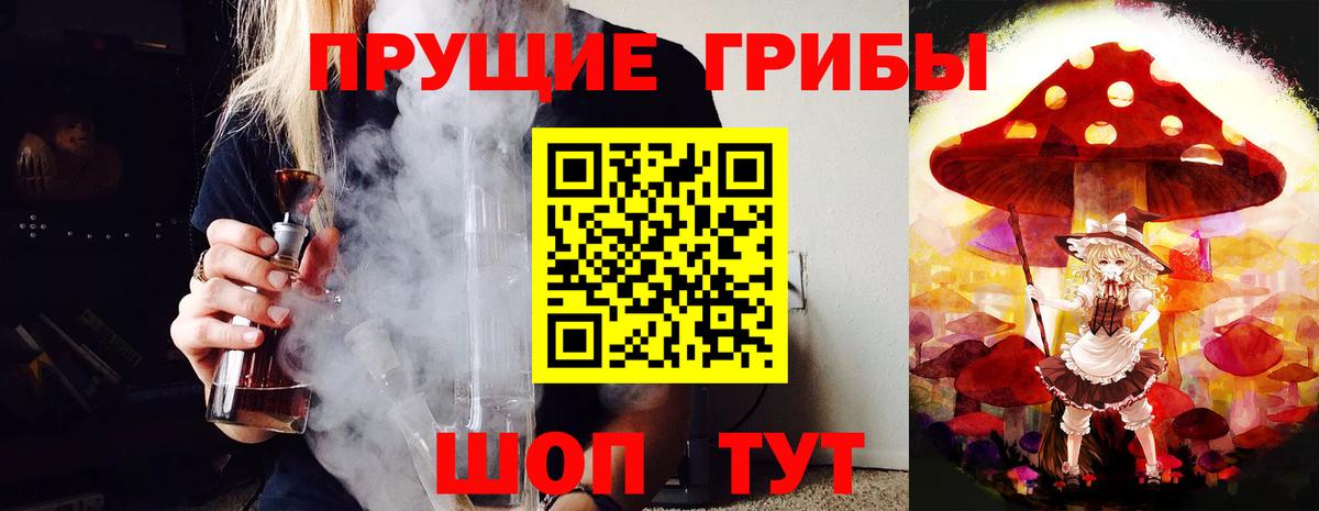 Сочи  Галлюциногенные грибы Psilocybine cubensis  Вход с VPN 